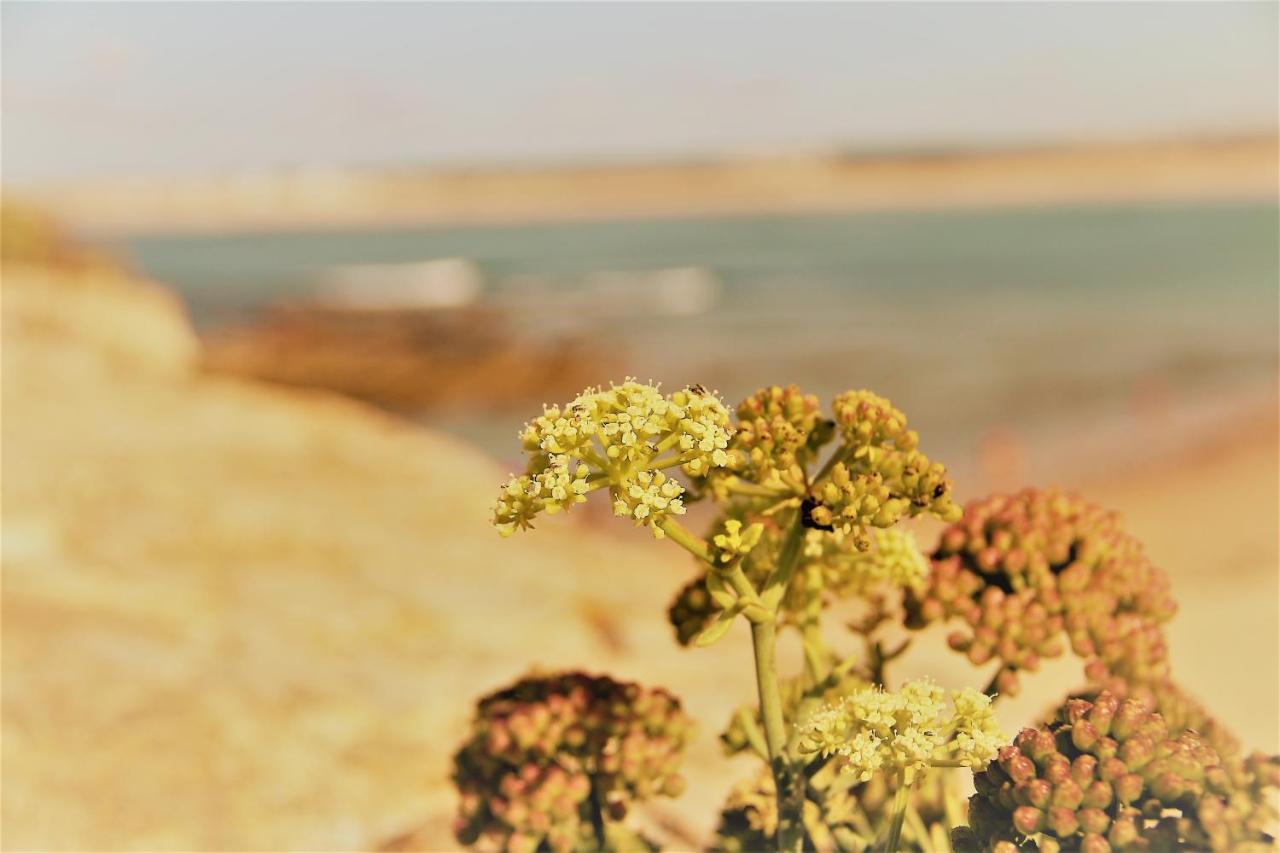 Casa Alegria By Cosycasa Praia بينيش المظهر الخارجي الصورة